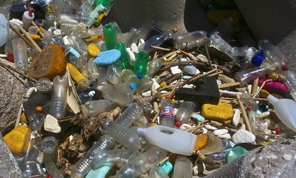 World Oceans Day plastics and climate change WWF